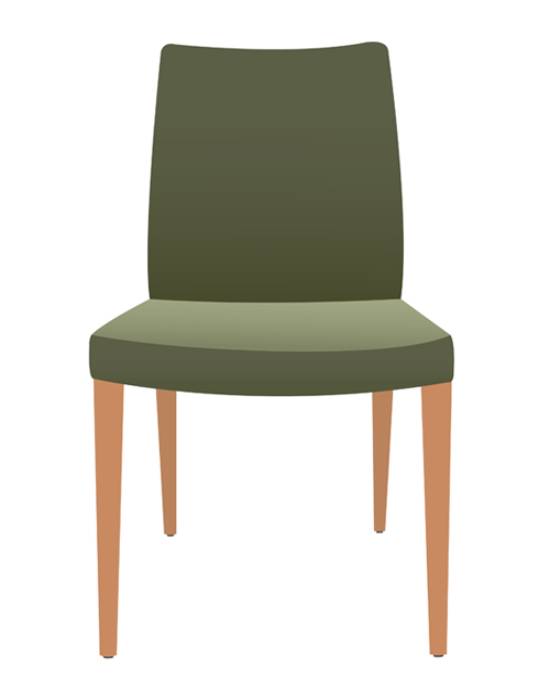 wooden chair with green cover