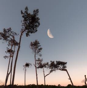 sunset sky view with half moon