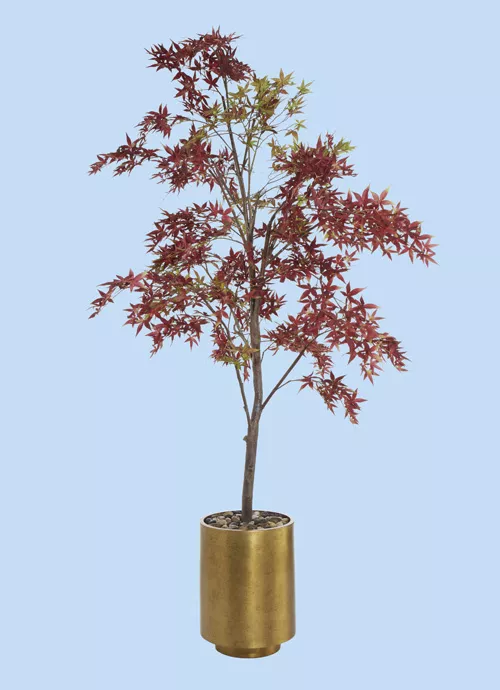 Small artificial tree with red and green leaves in gold pot on blue background for Event Photo Editing Services.