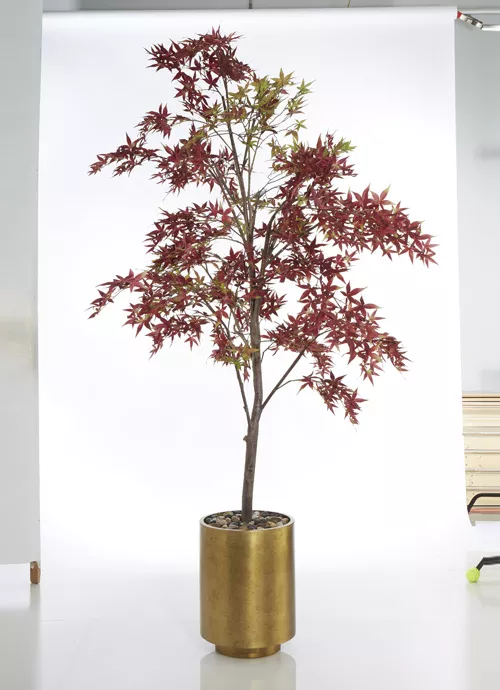 Artificial maple tree with red and green leaves in gold pot on white backdrop for Event Photo Editing Services.