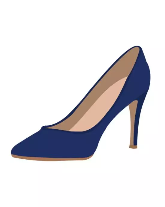 Vector conversion services showing a navy pointed-toe high heel isolated on white.