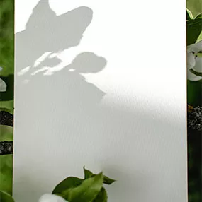 Shadow Editing