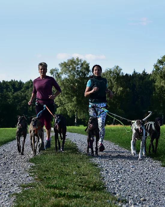 Two women jogging with six dogs on gravel path in lush green setting.