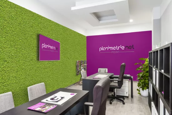 Modern office with vibrant green wall, purple branding, desks, and plants showcased for Sky Replacement Services.